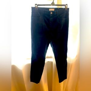 LOFT Navy blue velvet pants petite size 12